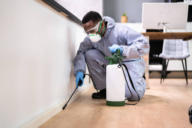 Best Real Estate Pest Inspections  in Chinchilla, PA